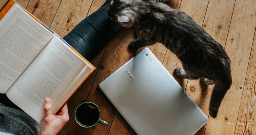 查速过,查速过官网,论文降重系统,论文修改系统