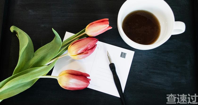 查速过,查速过官网,论文降重系统,论文修改系统