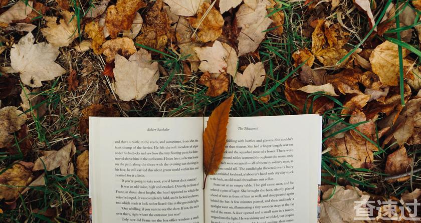 查速过,查速过官网,论文降重系统,论文修改系统