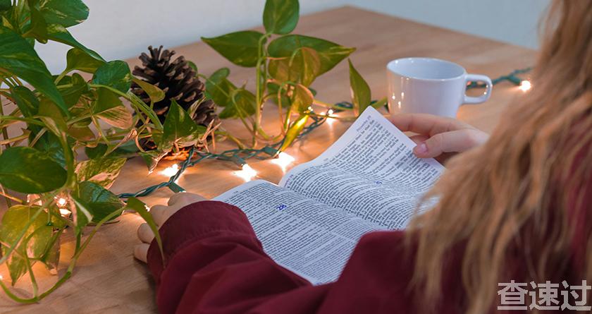 查速过,查速过官网,论文降重系统,论文修改系统