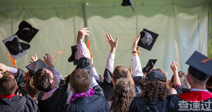 查速过,查速过官网,论文降重系统,论文修改系统