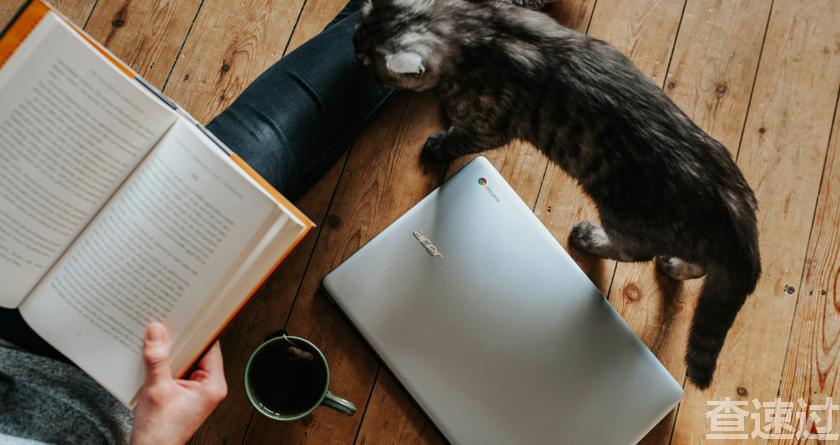 查速过,查速过官网,论文降重系统,论文修改系统