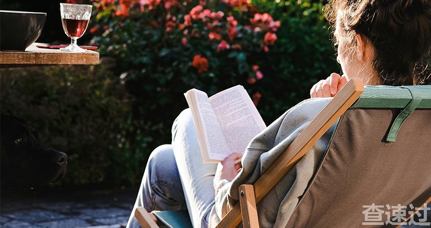 查速过,查速过官网,论文降重系统,论文修改系统