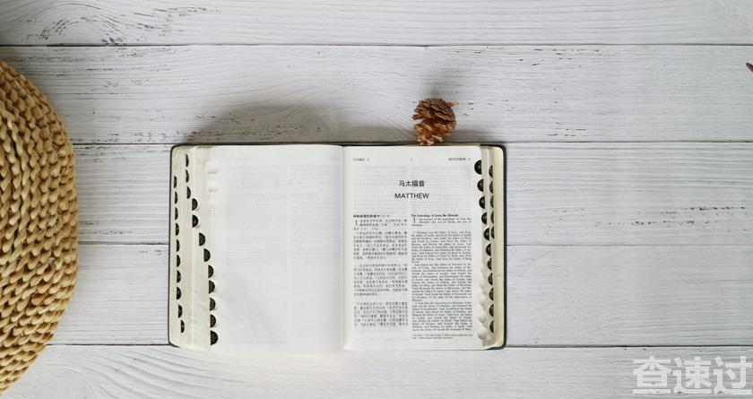 查速过,查速过官网,论文降重系统,论文修改系统