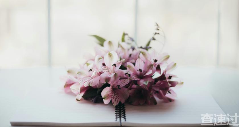 查速过,查速过官网,论文降重系统,论文修改系统