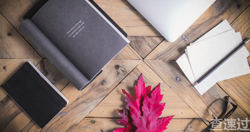 查速过,查速过官网,论文降重系统,论文修改系统