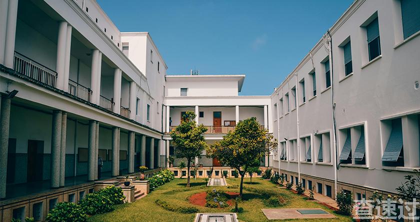 查速过,查速过官网,论文降重系统,论文修改系统