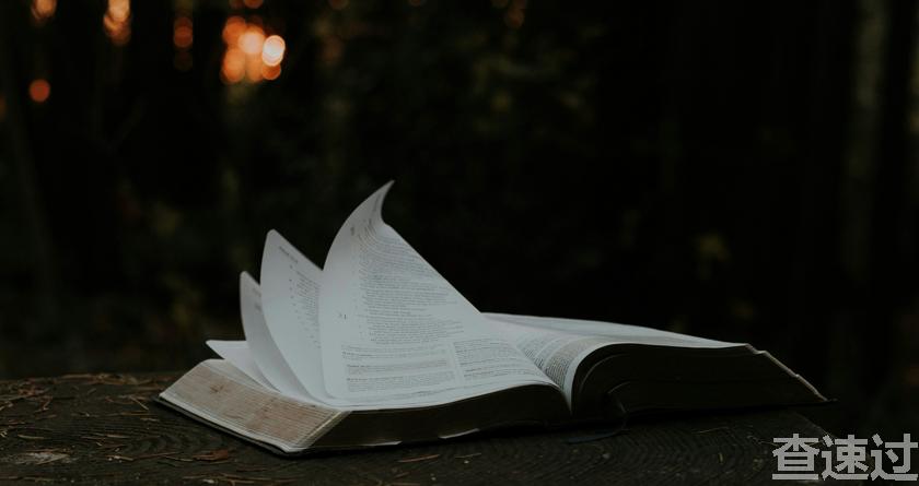 查速过,查速过官网,论文降重系统,论文修改系统