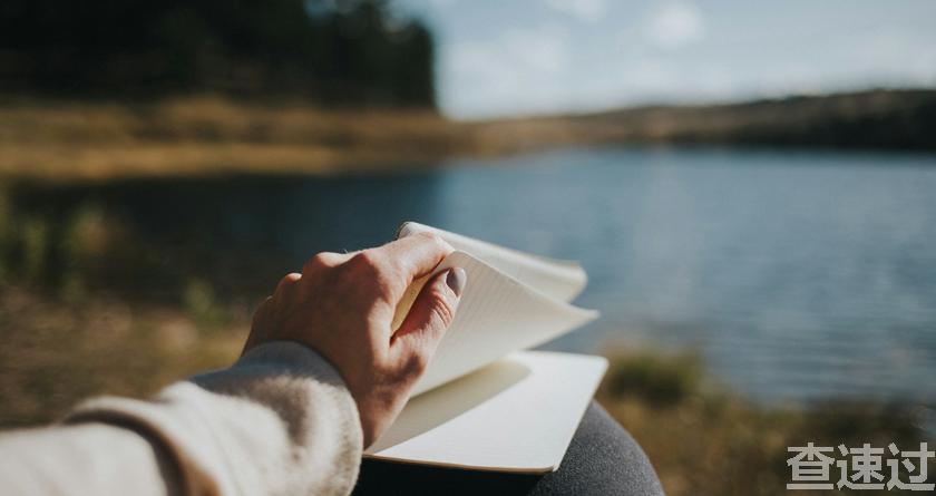 查速过,查速过官网,论文降重系统,论文修改系统