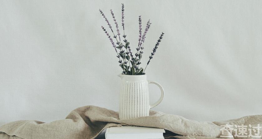 查速过,查速过官网,论文降重系统,论文修改系统